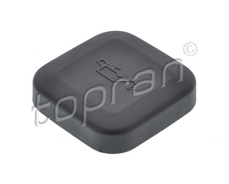 Sealing Cap, oil filling port