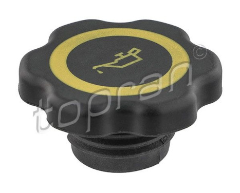 Sealing Cap, oil filling port