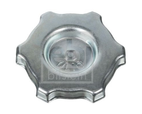 Sealing Cap, oil filling port, Image 2