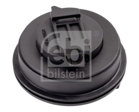 Sealing Cap, oil filling port, Image 3