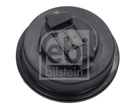 Sealing Cap, oil filling port, Image 3