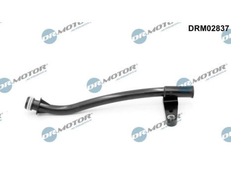 Funnel, oil dipstick