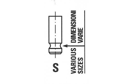 Inlet Valve