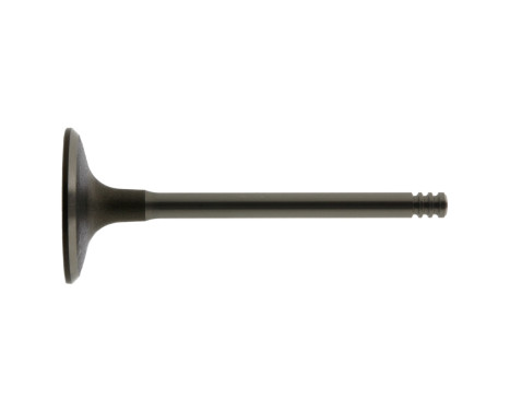 Inlet Valve