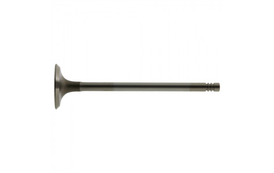 Inlet Valve