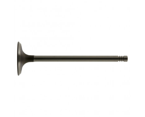 Inlet Valve