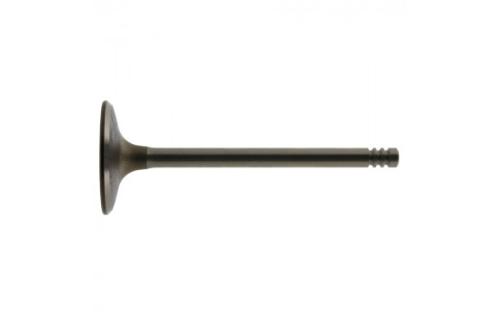 Inlet Valve