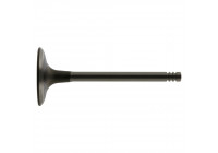 Inlet Valve
