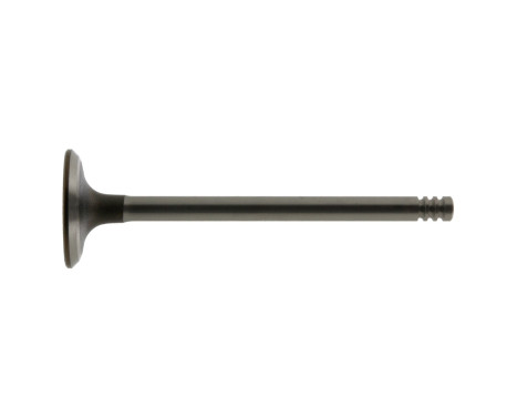 Inlet Valve