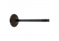 Inlet Valve