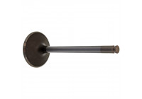 Inlet Valve