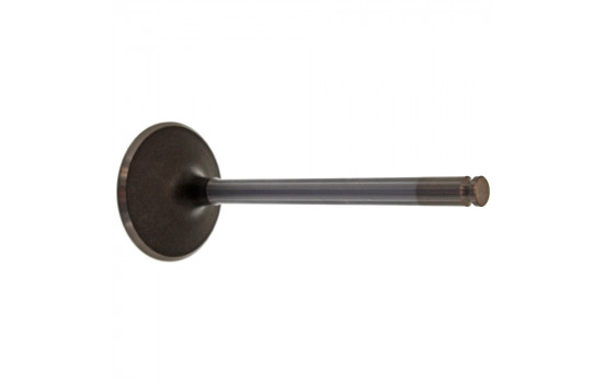 Inlet Valve