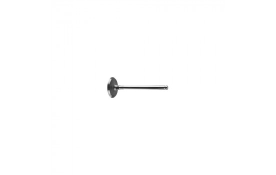 Inlet Valve