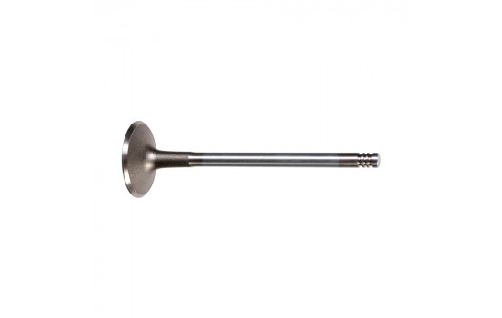 Inlet Valve