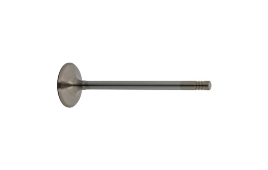Inlet Valve