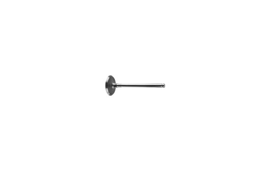 Inlet Valve