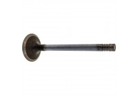 Inlet Valve