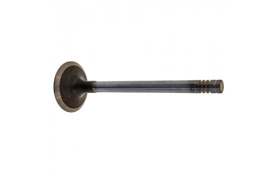 Inlet Valve
