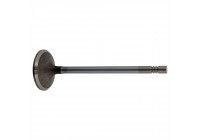 Inlet Valve