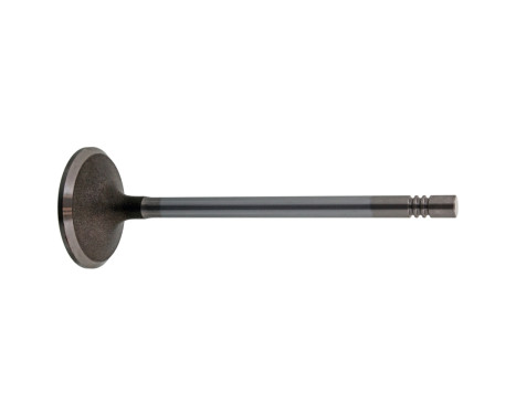 Inlet Valve