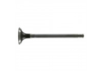 Inlet Valve