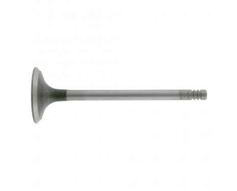 Inlet Valve