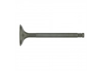 Inlet Valve