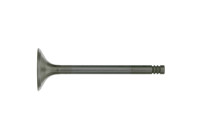 Inlet Valve