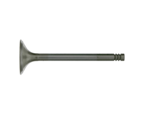 Inlet Valve