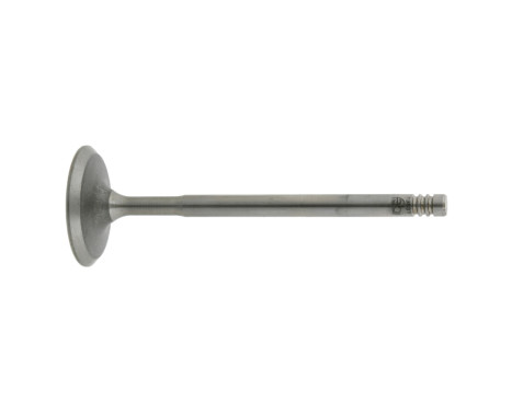 Inlet Valve