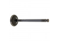 Inlet Valve