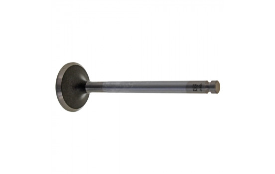 Inlet Valve