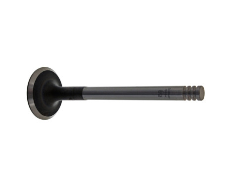 Inlet Valve