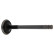 Inlet Valve