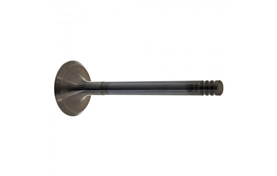 Inlet Valve