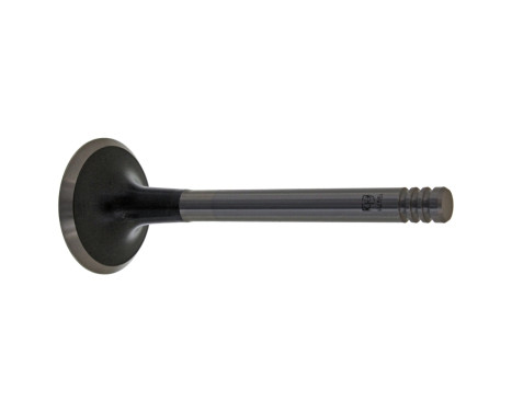 Inlet Valve
