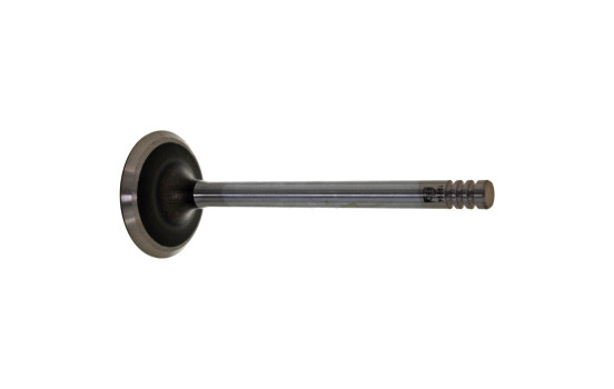 Inlet Valve
