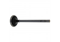 Inlet Valve