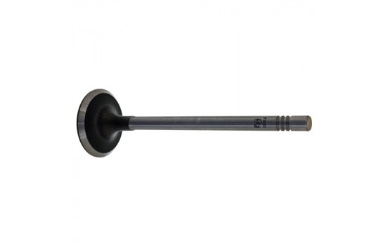 Inlet Valve