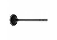 Inlet Valve
