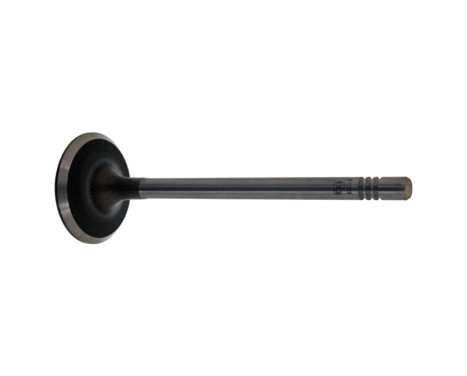 Inlet Valve