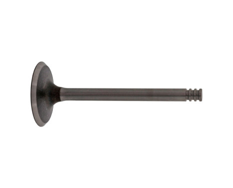 Inlet Valve