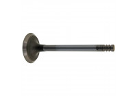 Inlet Valve
