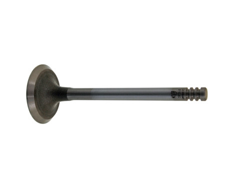Inlet Valve