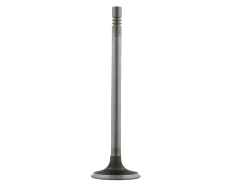 Inlet Valve
