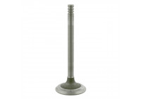 Inlet Valve