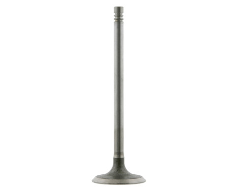 Inlet Valve
