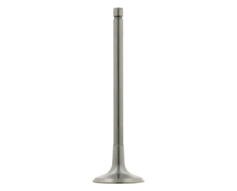 Inlet Valve