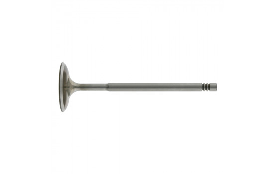 Inlet Valve