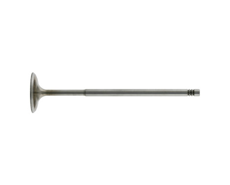 Inlet Valve